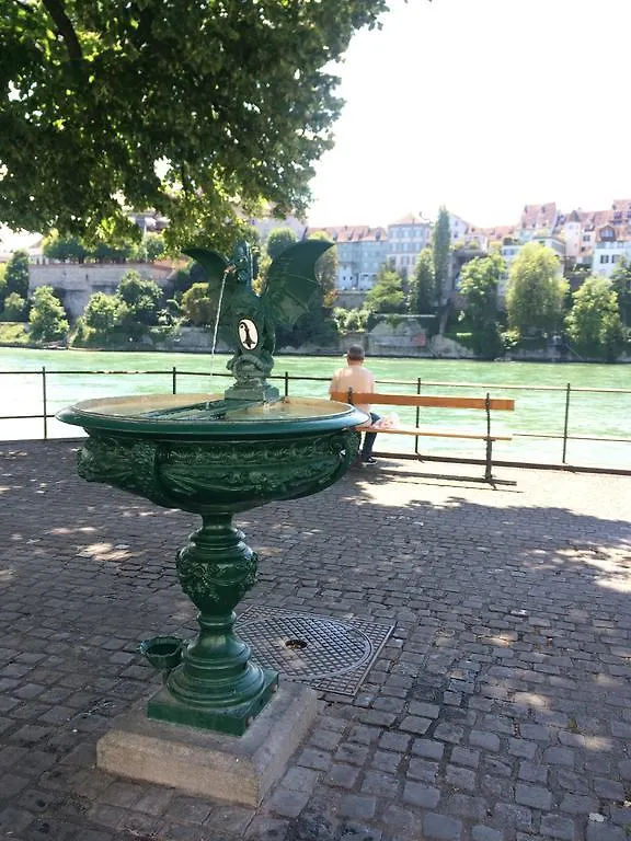 In Swiss Home - Downtown Rhine Riverside Luxury Bazylea Apartament