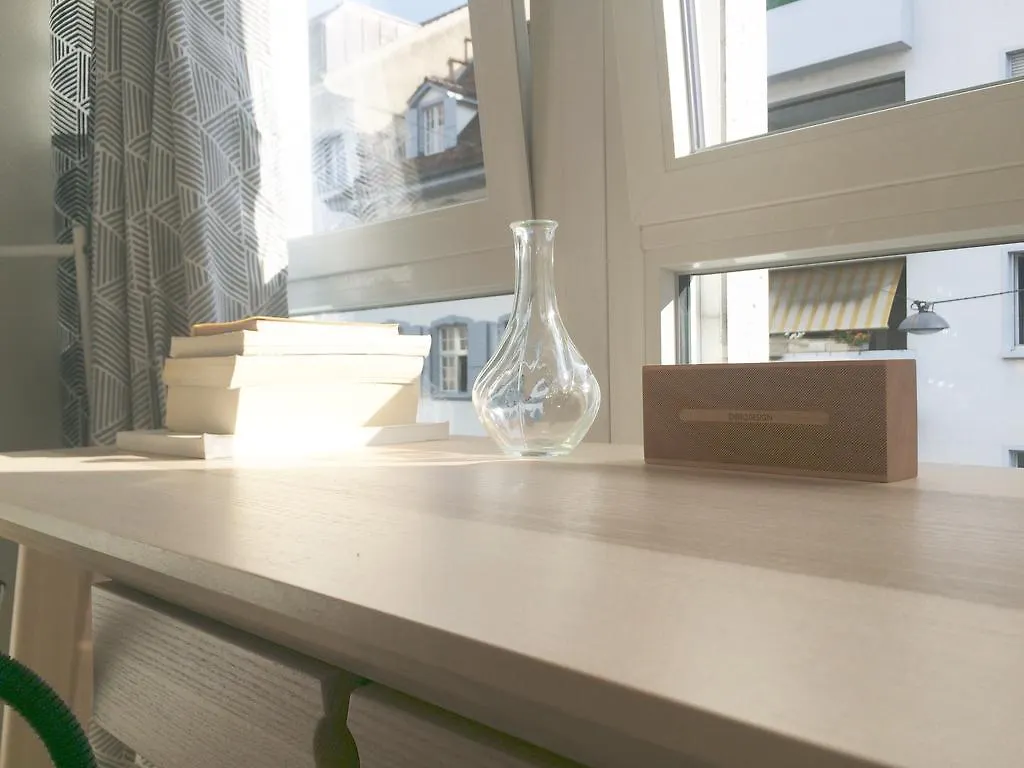 Apartament In Swiss Home - Downtown Rhine Riverside Luxury Bazylea