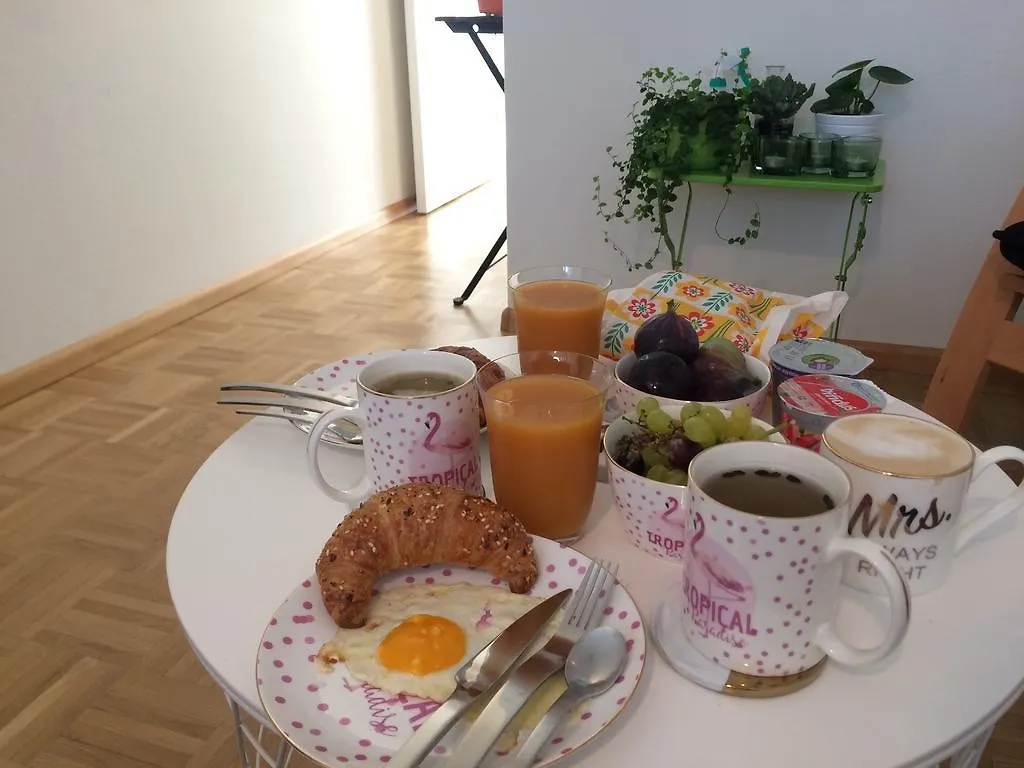In Swiss Home - Downtown Rhine Riverside Luxury Bazylea Apartament